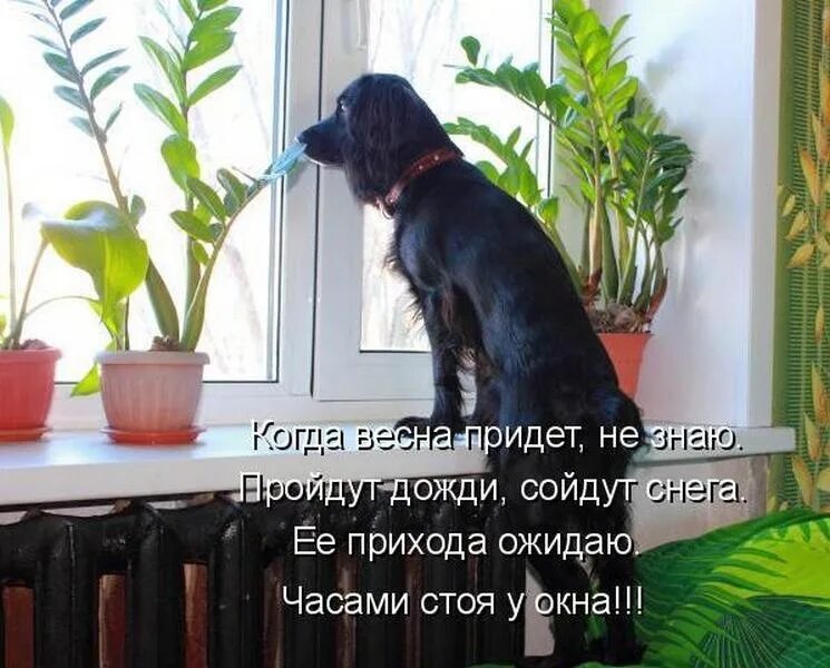 Не знаю что обсудим. Я жду весну.