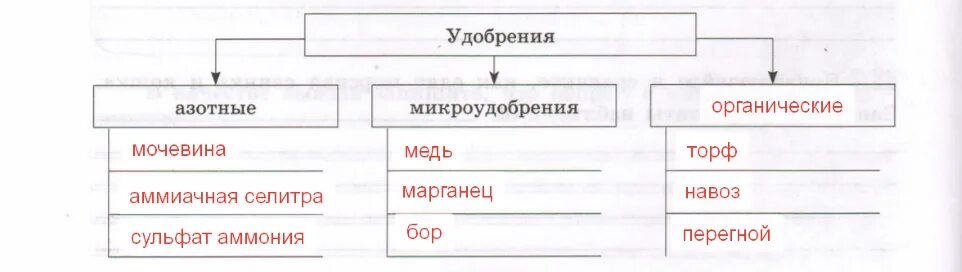 Тест удобрения 6 класс. Схема удобрения 6 класс биология. Удобрения схема биология 6. Схема виды удобрений. Заполните схему виды удобрений.