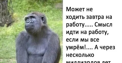 Дедос почему вы так редко мне пишите