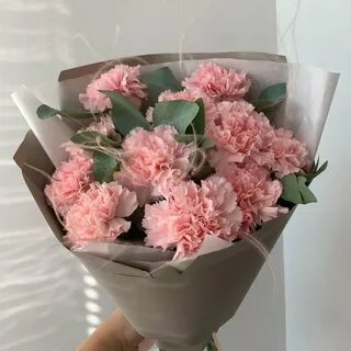 Диантусы букет