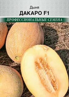 Дыня дакаро