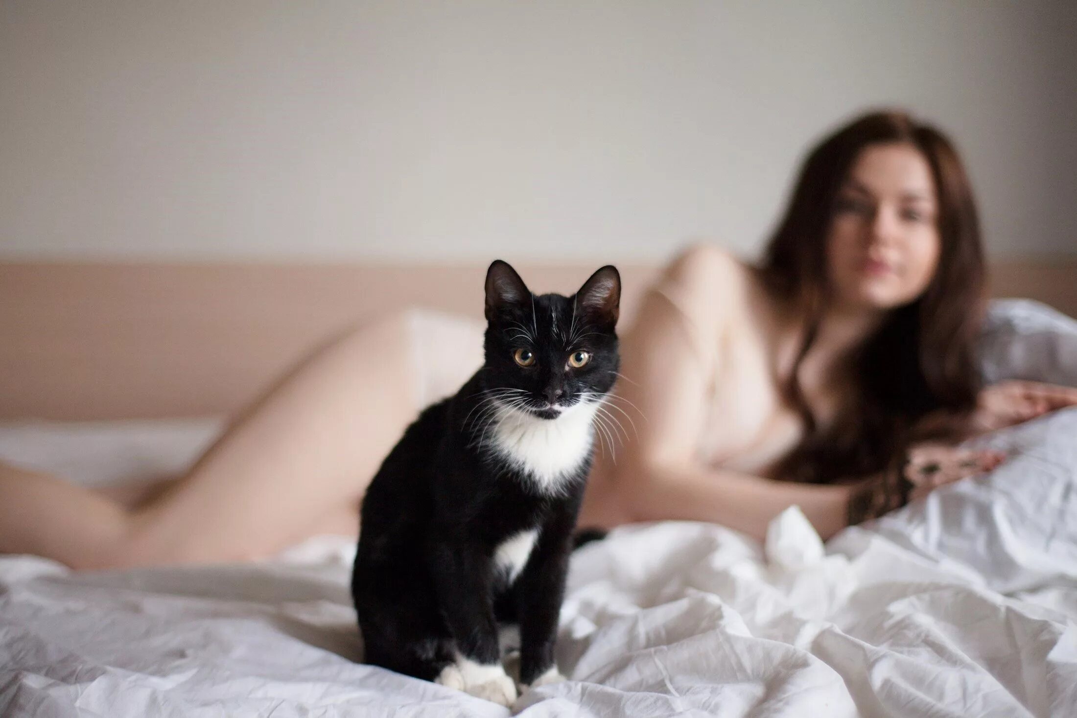 Девушка котик картинки. Девушка кошка. девушка с котенком. женщина с котом. девушка кошечка.