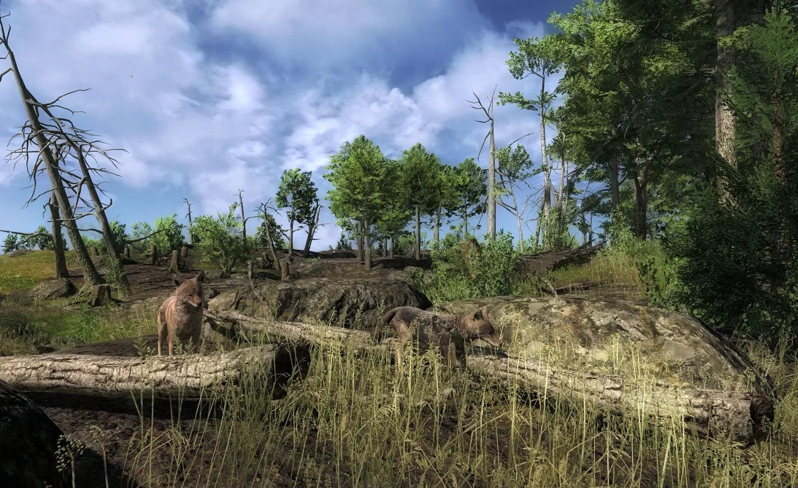 Hunting unlimited 2012 медведь. The hunter call of the wild черный медведь. Call of the wild игра. Олень рузвельта the hunter call of the wild. Старке хантер.