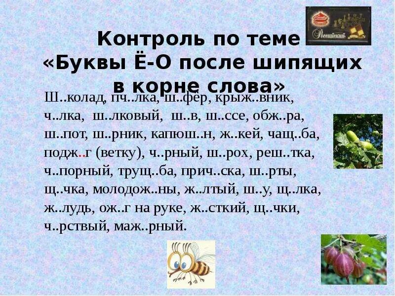 Словарный диктант на тему е о. О-Ё после шипящих в корне упражнения. О-Ё после шипящих в корне 5 класс. Оё поле шипящих в корне упражнение. О Ё после шипящих в корне упражнения 5 класс.