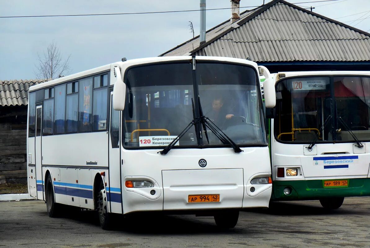 Автобус березовский юбилейный березовский. Кавз 4238-02. автобус 120 березовский кемерово нефаз. автовокзал березовский кемерово. ходовые огни кавз 4238.