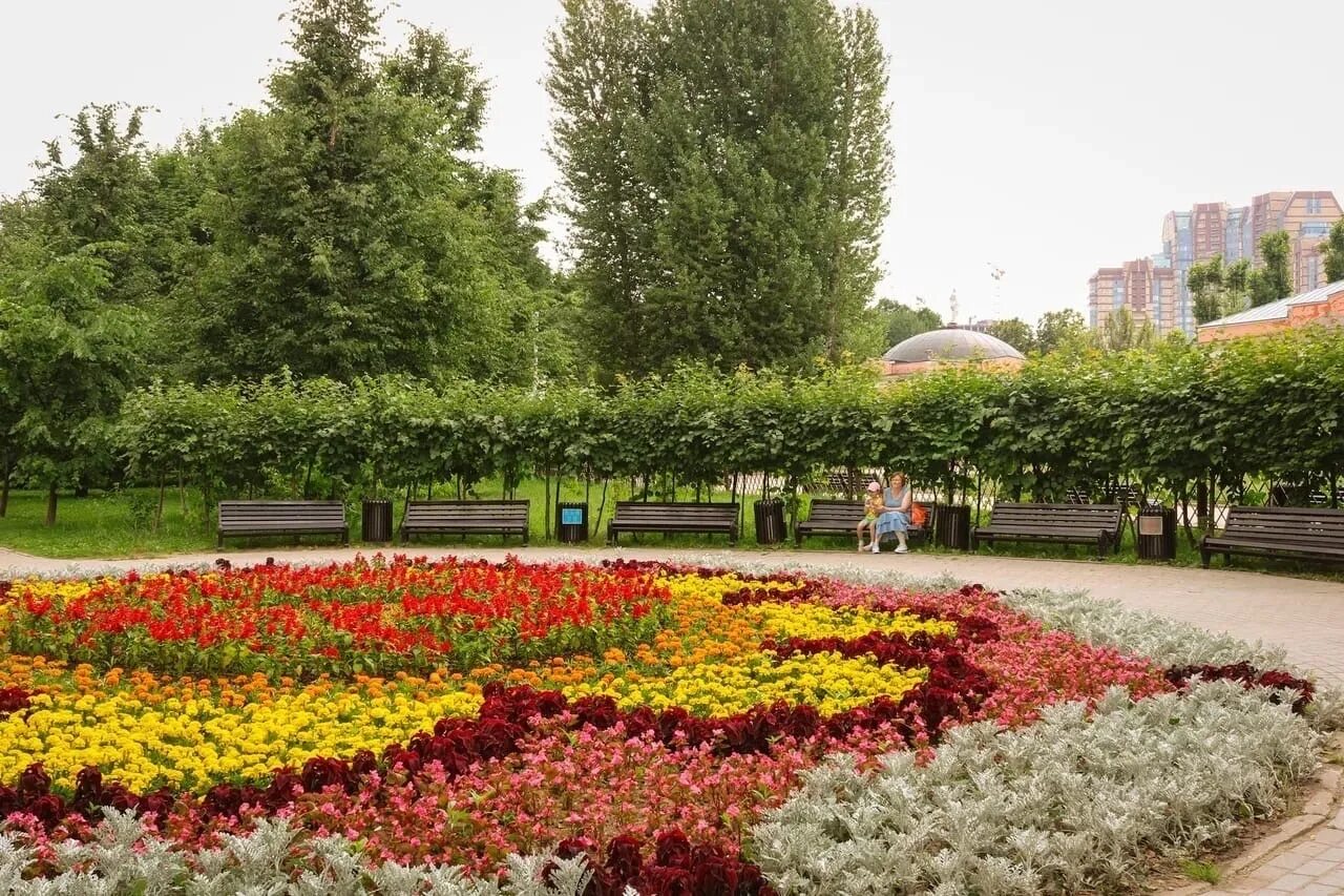 Воронцовский парк воронцовский парк 3 фото. Воронцовский парк усадьба. Воронцовский сад в Москве. Воронцовский парк новаторская. Воронцовский парк сцена.