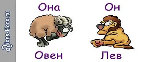 Мужчина лев женщина овен