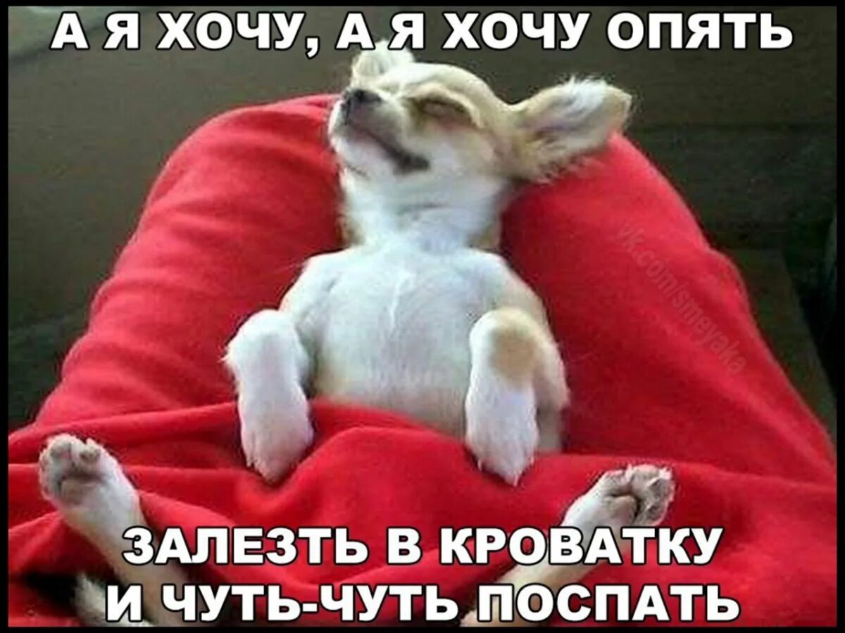 Поспи