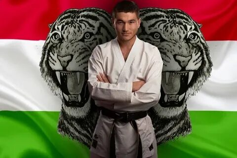 Камил карате