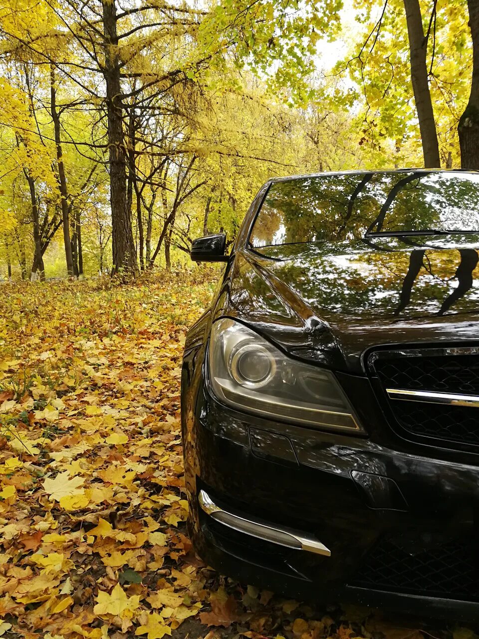 Немного осени - Mercedes-Benz C-class (W204), 1,8 л, 2011 года наблюдение DRIVE2