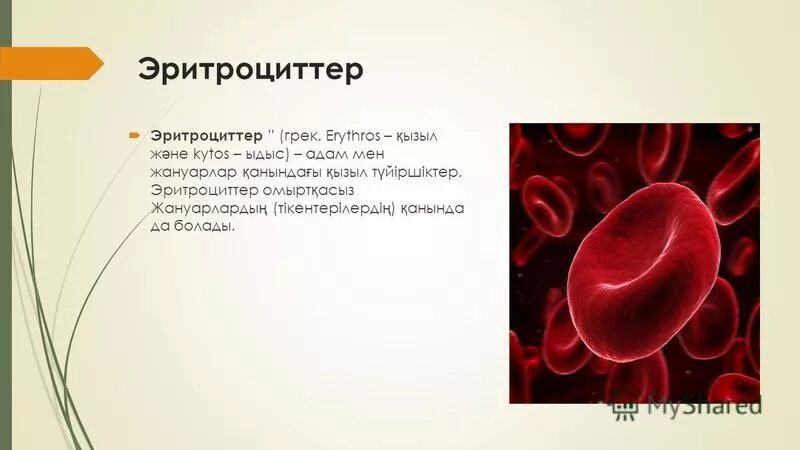 Эритроциттер дегеніміз не. Эритроциттер қозғалады. Эритроциттер дегеніміз не. Эритроциттер қозғалады. Капиллярлар турлари схема.
