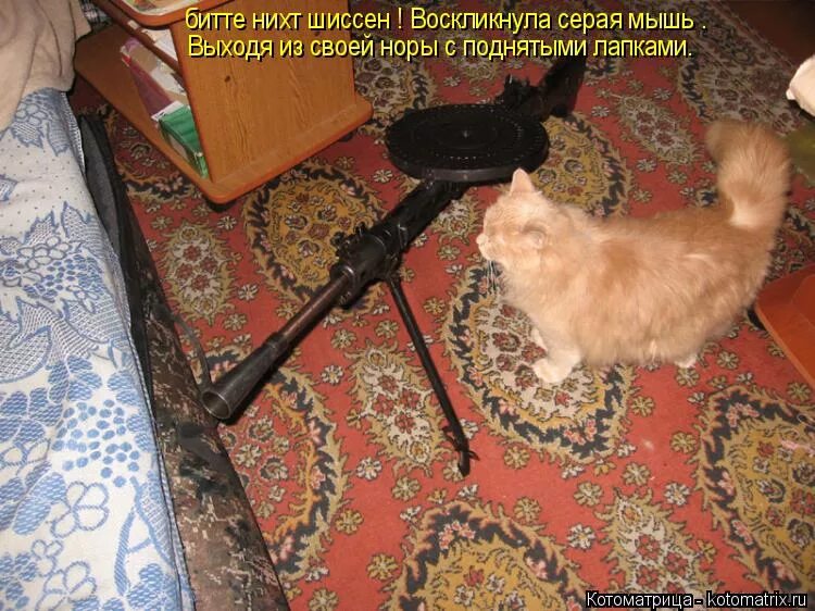 меркель с поднятыми руками. нихт шиссен перевод с немецкого. нихт шиссен. мем нечёсе. немец капут.