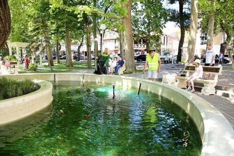 Вода в геленджике сейчас