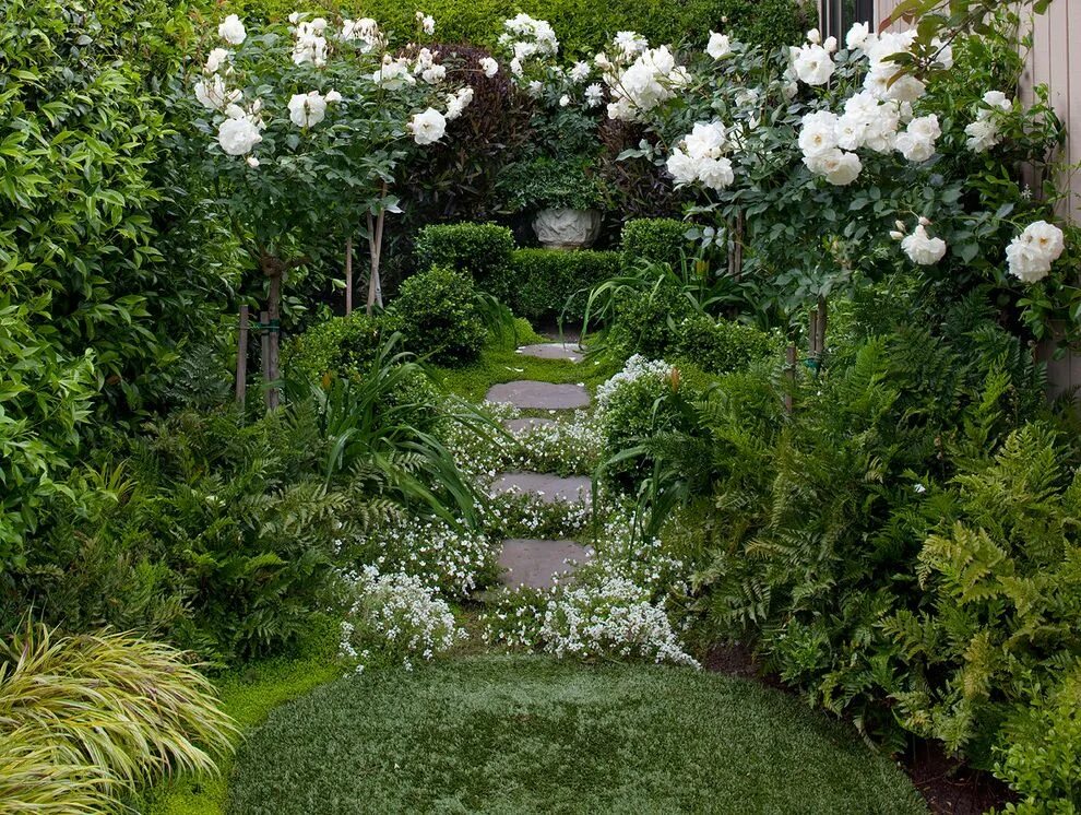 Соседи сада. Соседи сада. Рододендрон куст сад. Теневой миксбордер с рододендронами. Живая изгородь дикий виноград.