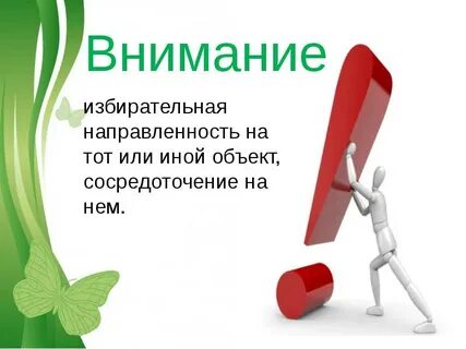 Немаловажное внимание