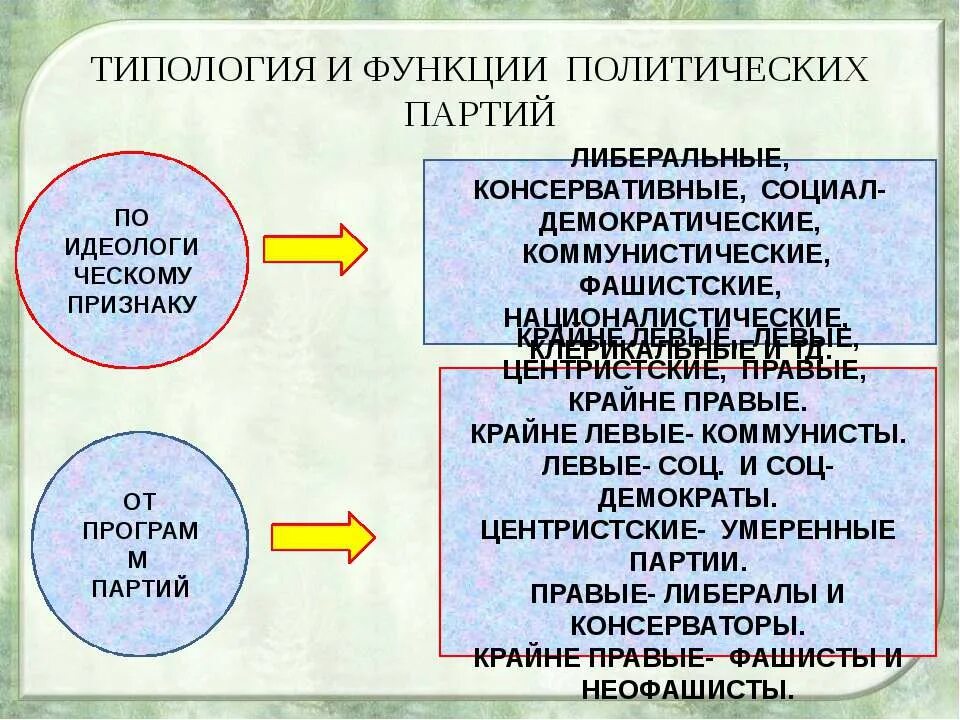 Функцию осуществляемую политической партией