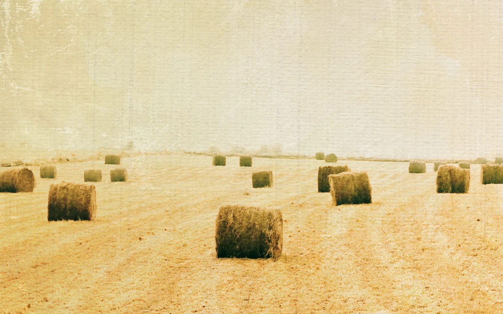 Style field