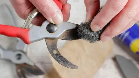 How to clean and sharpen pruning shears 