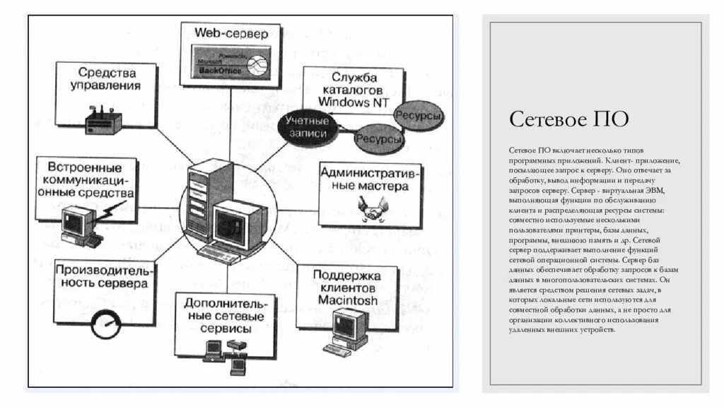 Сетевое программное обеспечение это. Сетевое программное обеспечение схема. аппаратное обеспечение компьютерных сетей схема. состав сетевого программного обеспечения. сетевого программного обеспечения компьютерных сетей.