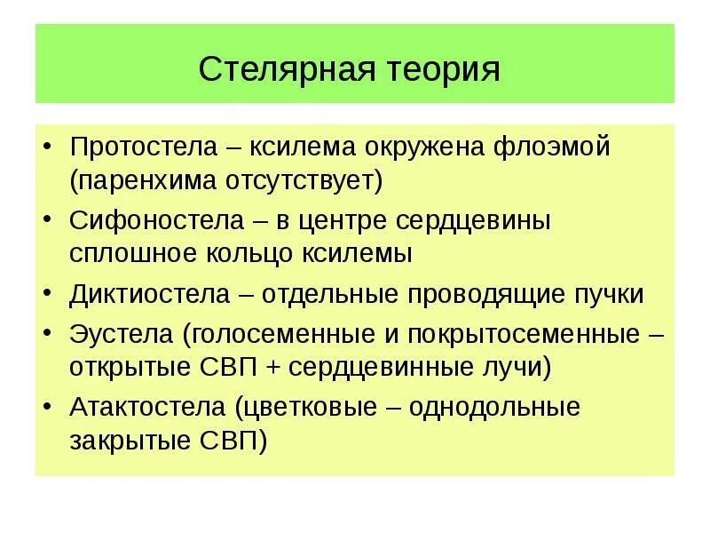 Тип стели