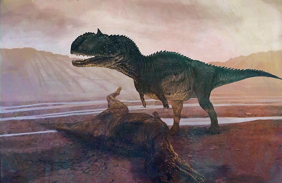 Майюнгазавр. Тероподы Майюнгазавр. Майюнгазавр настоящий. Рапетозавр и Майюнгазавр.