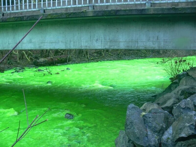 Речка ива в перми. Вырица река оредеж. Зелёная вода в водоёмах. Изумрудная река. Зеленая река.
