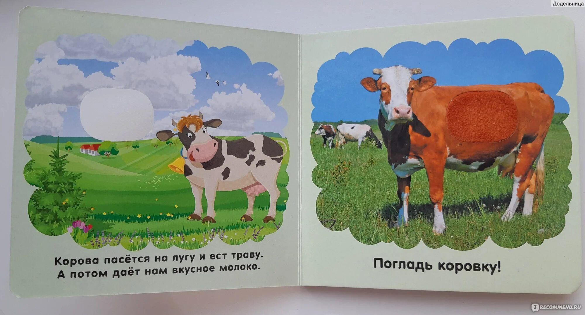 Польская корова песня перевод. Далеко далеко на лугу пасутся ко. Кто пасется на лугу. На лугу на лугу пасутся ко. Далеко-далеко на лугу.