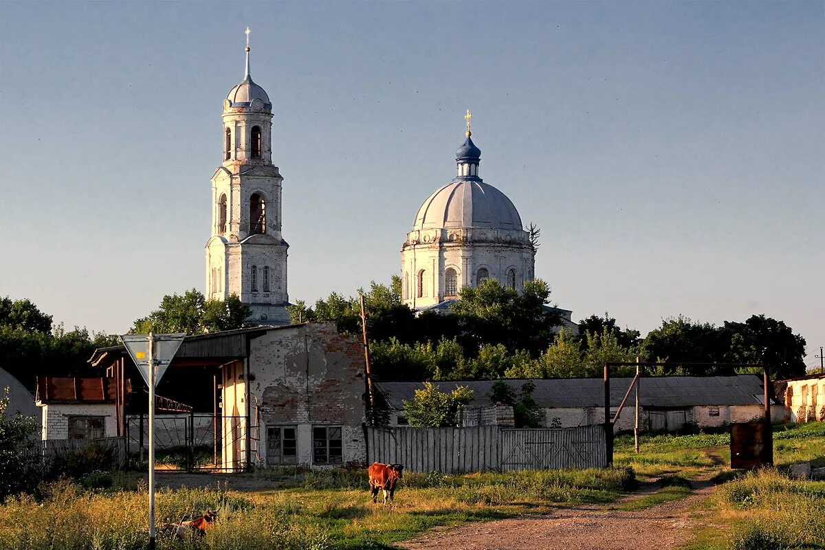 Никольское воронежской аннинского