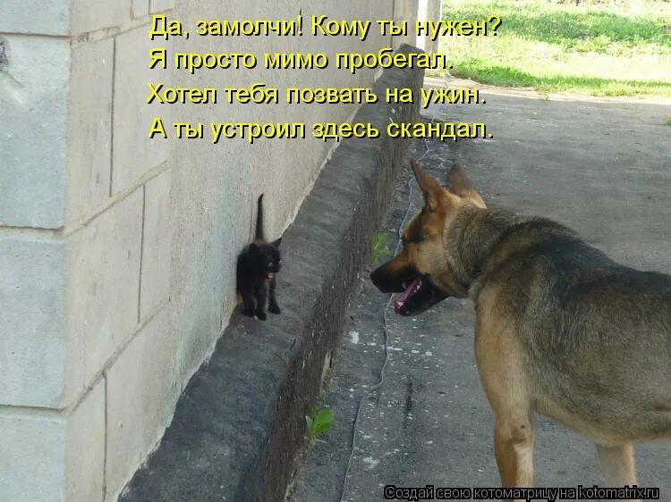 где работу работаешь?.