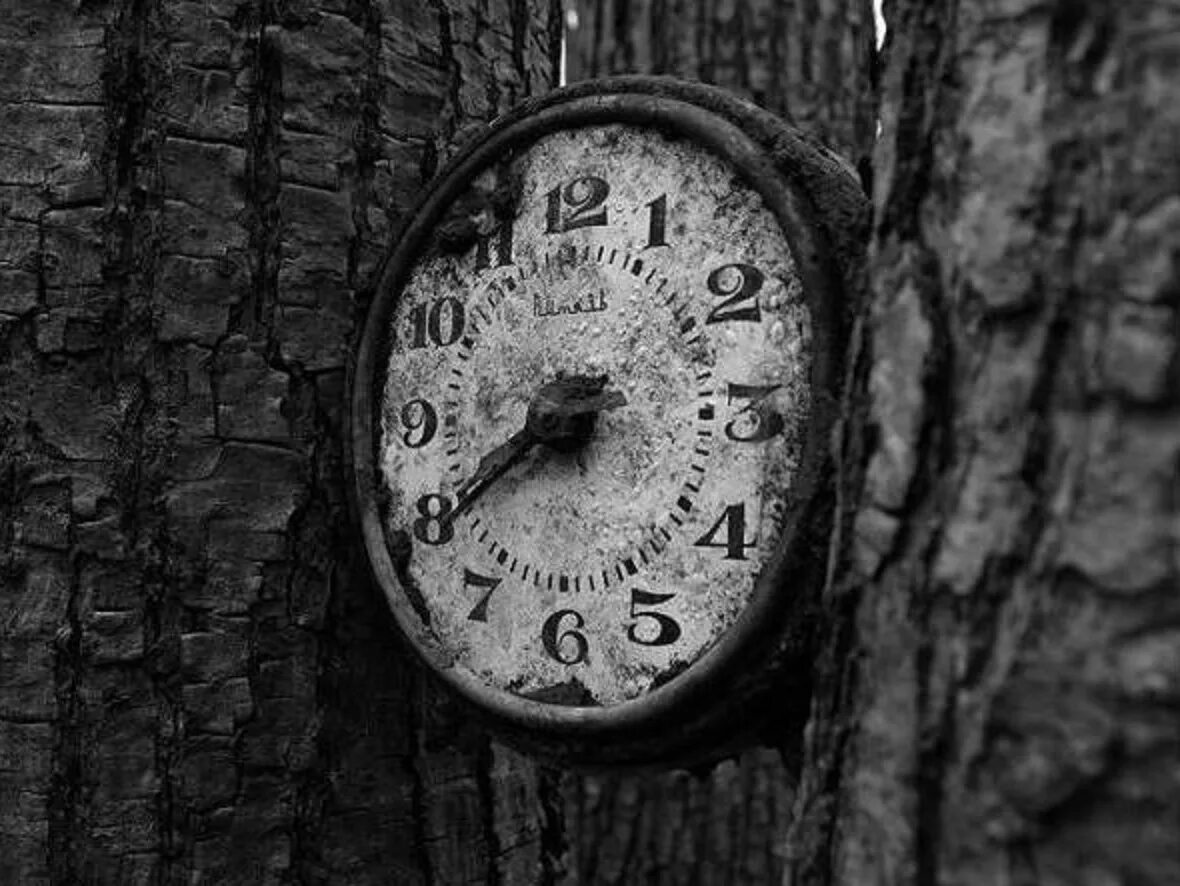 Время калечит печень. Время фото. Часы исчезают. Сломанные часы. А время уходит.