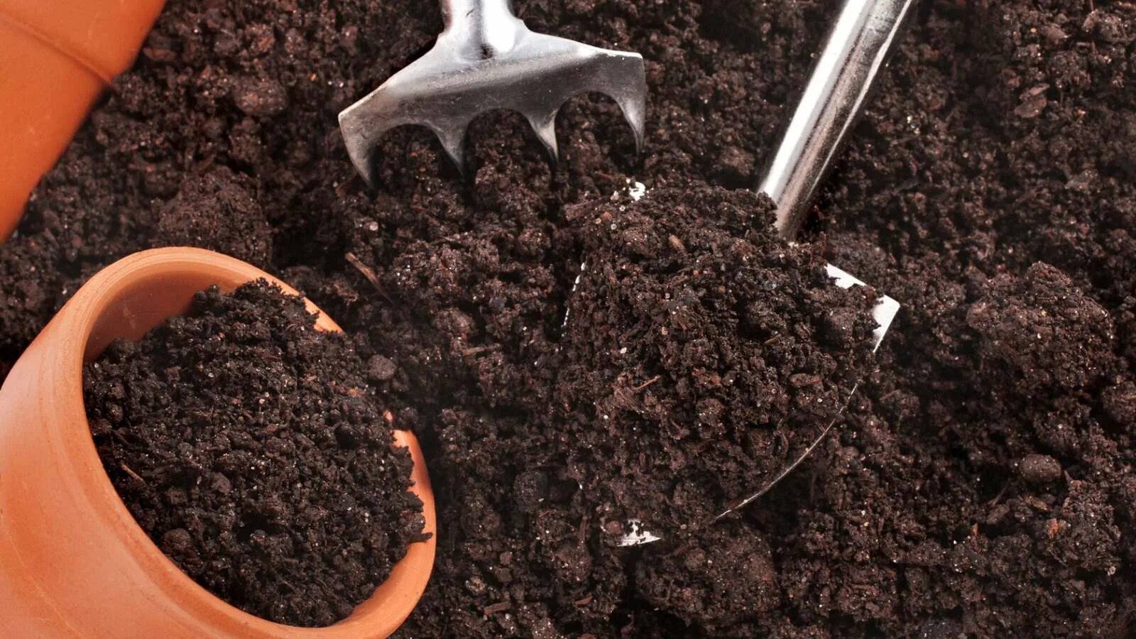 Подготовка грунта для рассады. Подготовка грунта для рассады. Земля для рассады. Почвенная смесь для рассады. Грунт для посадки.