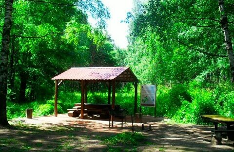 Дендропарк беседки