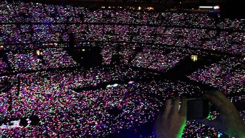 Paradise live