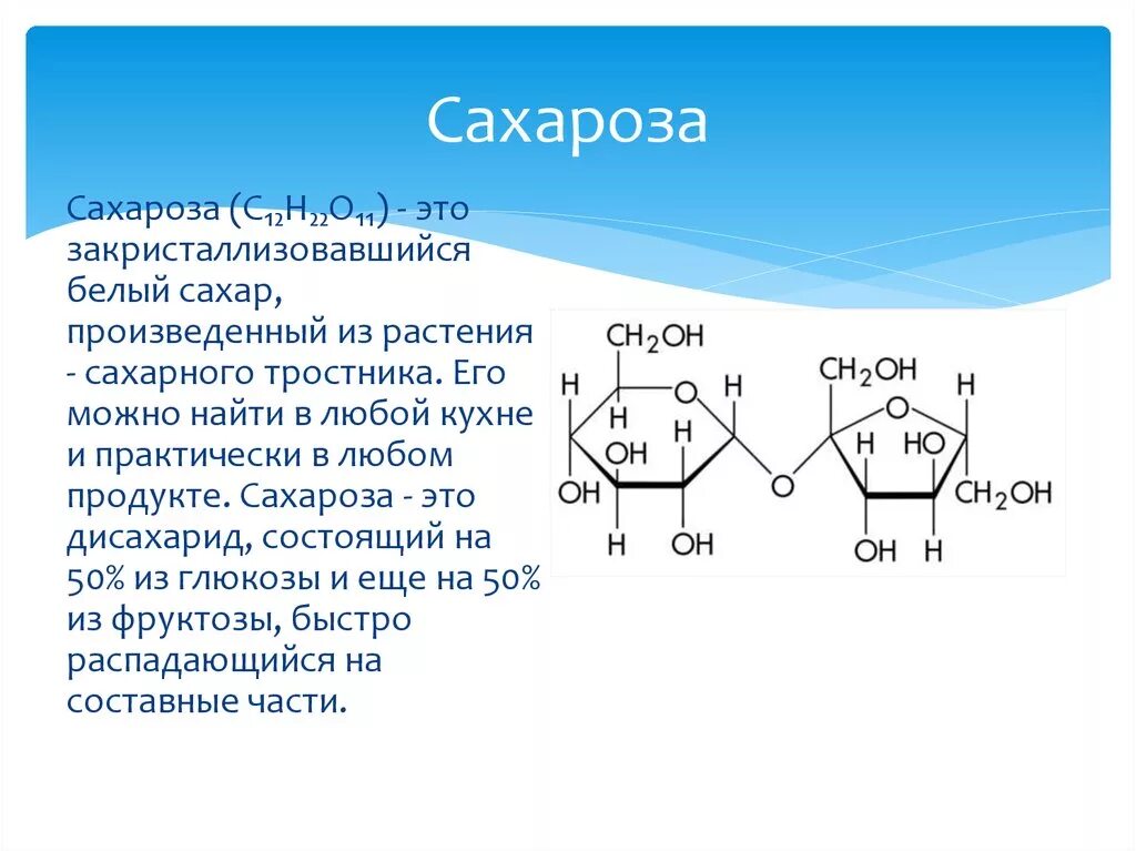 Экзамен сахарозы геншин импакт. Сахароза Геншин. Геншин сахароза Геншин. Сахароза Геншин Импакт собака. Сахароза сахароза Геншин.