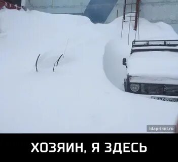 Где моя машина