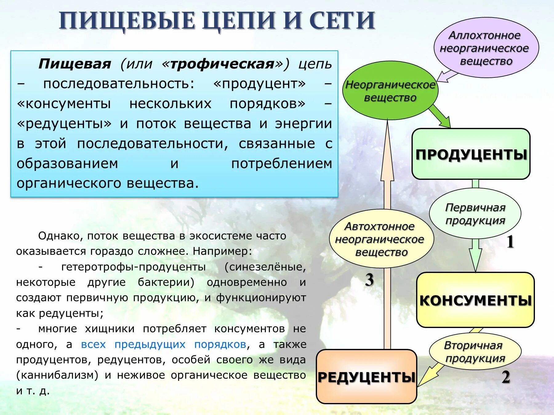 Продуценты выполняют функцию
