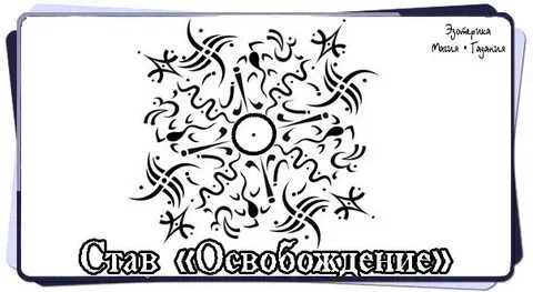 Став ракушка