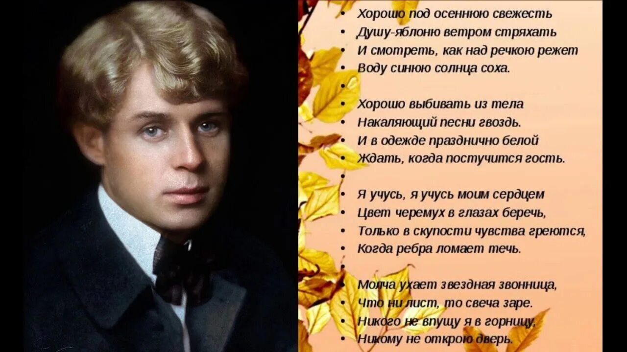 Отговорила роща Золотая Есенин. Стихи Есенина. Есенин с. "стихи". Стих свежесть