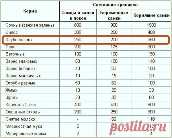 Можно ли давать 10. Можно ли давать 10