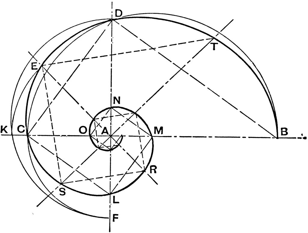 Циркуль фибоначчи. Спираль золотое сечение чертеж. Спираль Архимеда Фибоначчи. Золотое сечение улитки для холодной ковки чертеж. Логарифмическая спираль построение.