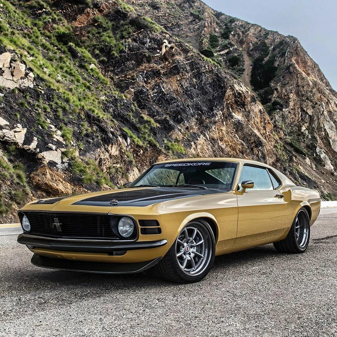 Мустанг 60. Мустанг 1970. Форд Мустанг 80. Форд Мустанг 70. Ford Mustang 1970.