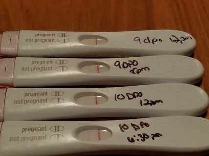 One Pregnancy Test Positive One Negative