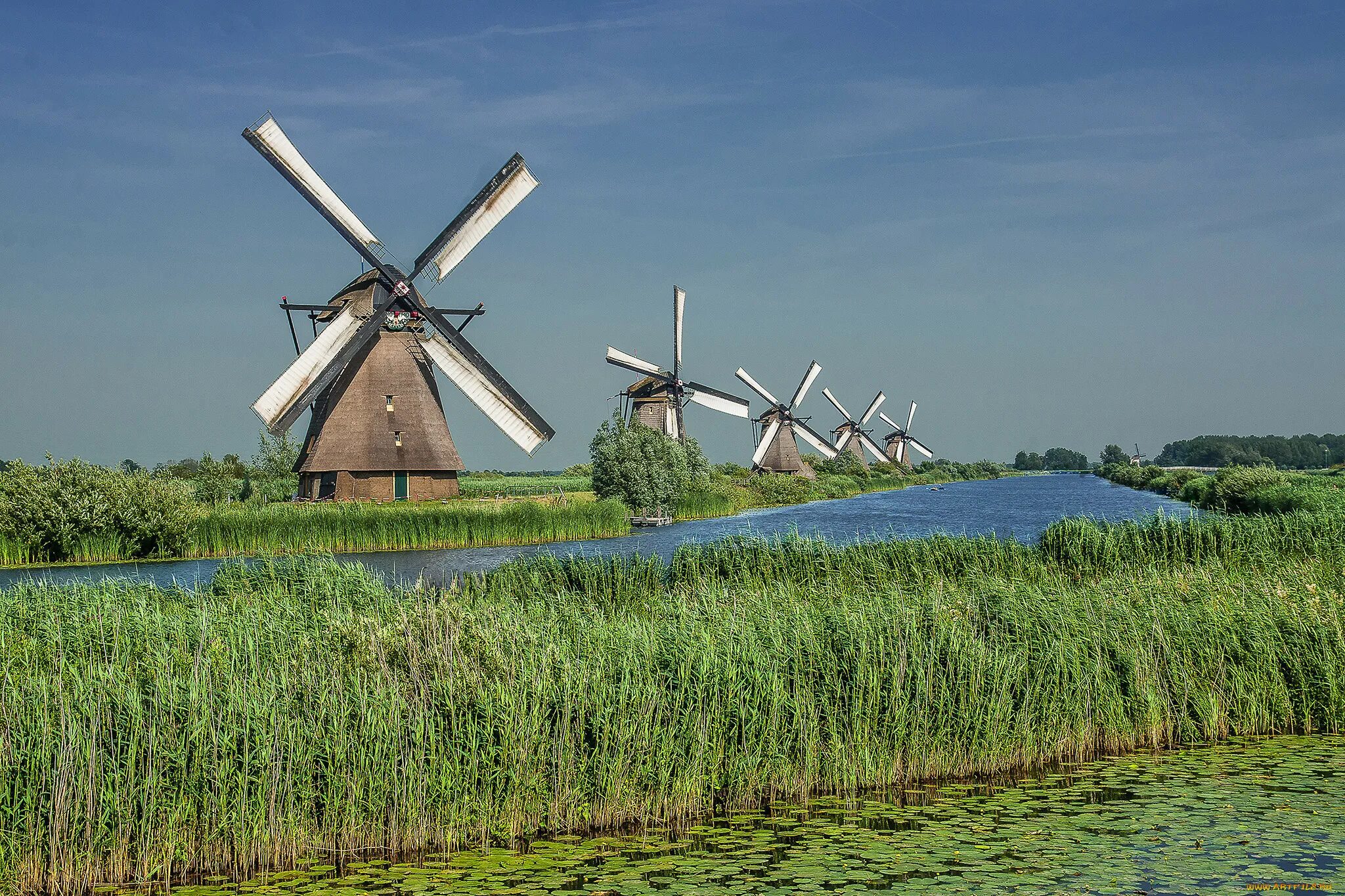 Ветряные мельницы в Нидерландах. Мельница Геншин. Багаевская мельница. Работа ветряных мельниц