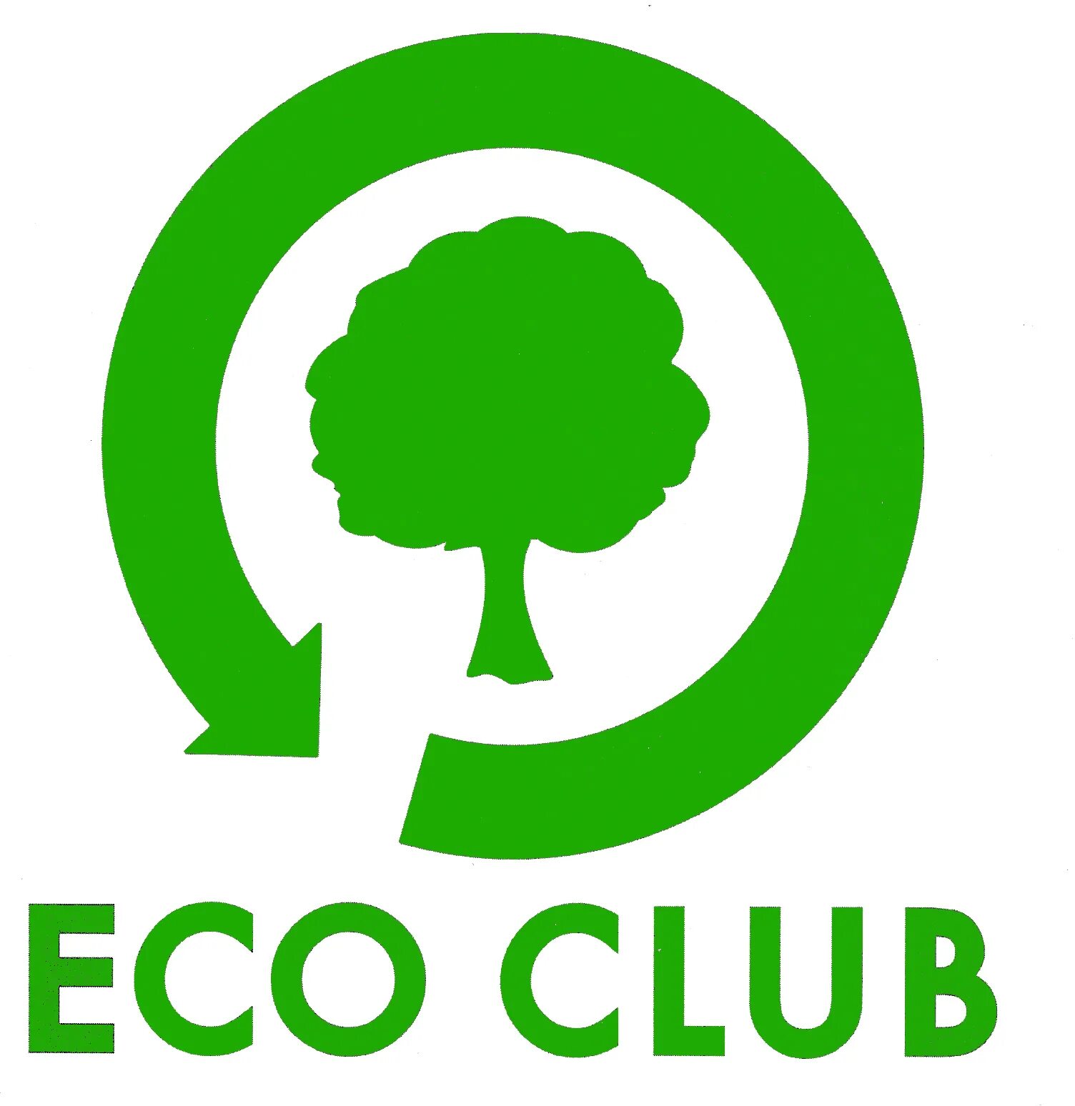 Эко. Логотип в эко стиле. Эк ка. Eco эмблема. Eco friendly логотип.