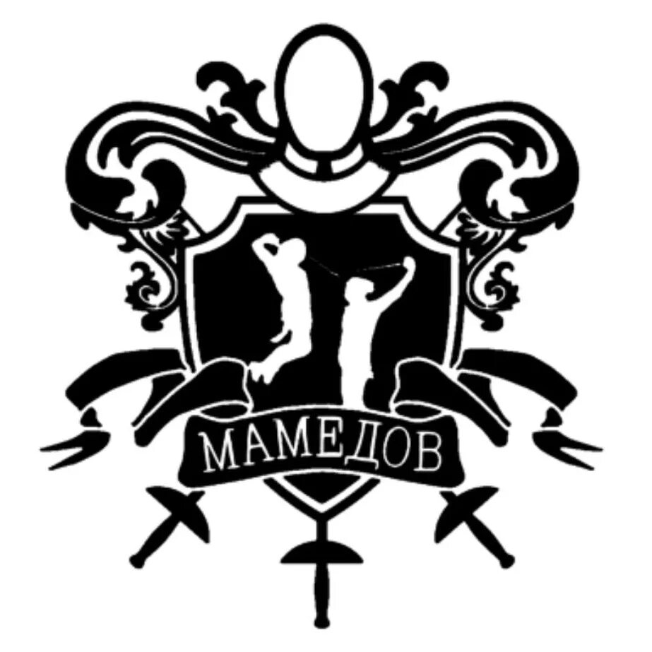 Центр мамедова. Центр ильгара мамедова. центр мамедова фехтование. центр фехтования ильгара мамедова химки. ильгара мамедова фехтование.