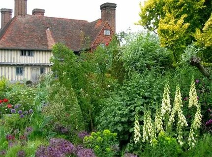 Plant england