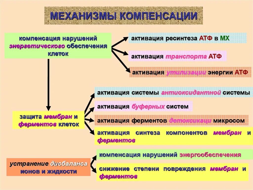 Компенсация нарушений функций