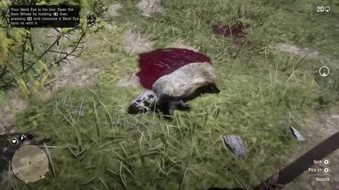 Rdr 2 барсук