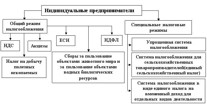 Доход индивида составляет. Схема системы налогообложения РФ. Схема систем налогообложения для ИП. Индивидуальные предприниматели схема налогообложения. Виды налогов уплачиваемых индивидуальным предпринимателем.