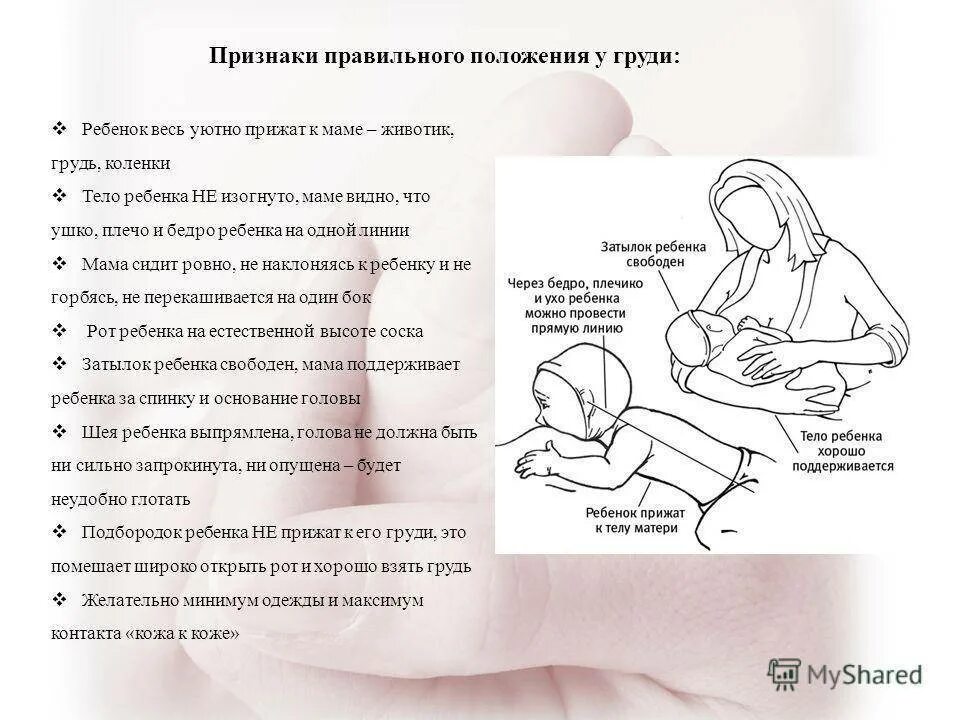 Техника прикладывания ребенка при грудном вскармливании. Правильное положение для кормления новорожденного грудным молоком. Правильно положение при кормлении новорожденного. Правильное положение ребенка при кормлении грудном вскармливании.